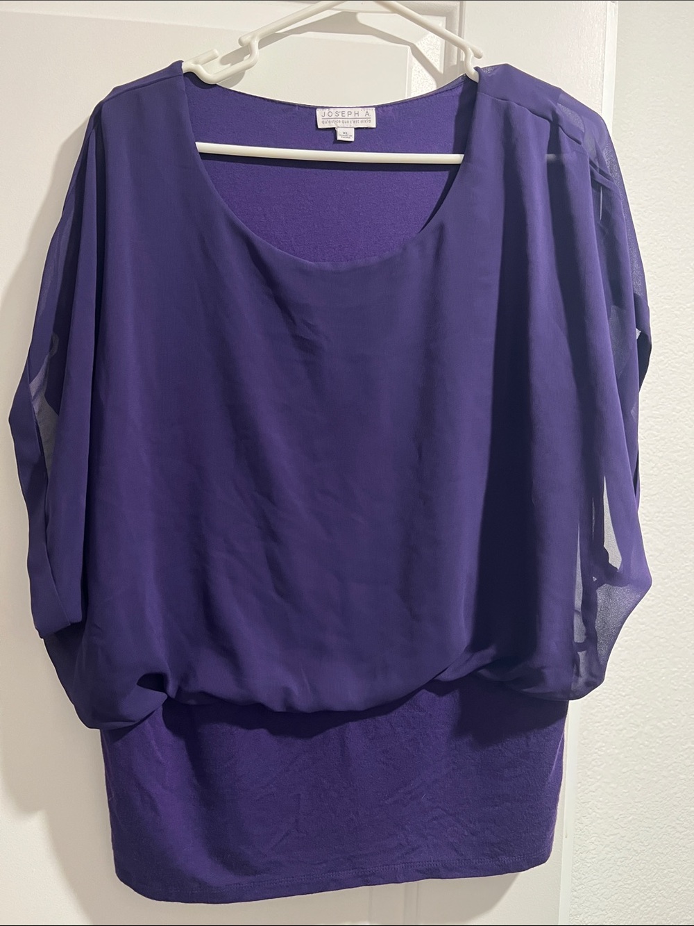 Joseph A Deep Purple Sheer Overlay Blouse